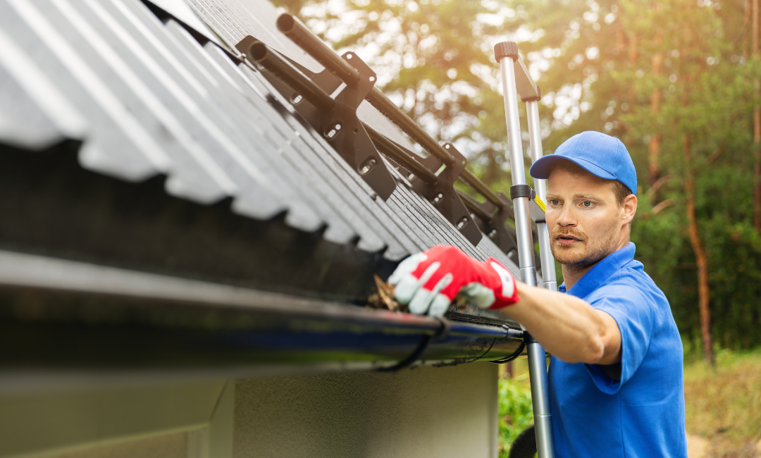 commercial gutter cleaning